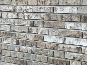 € 0,40 per stuk Metselstenen WF sp Birchwood Wienerberger beschikbaar voor biedingen