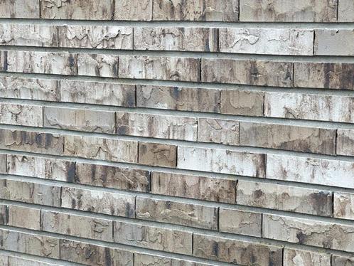€ 0,40 per stuk Metselstenen WF sp Birchwood Wienerberger, Doe-het-zelf en Verbouw, Metselstenen, Bakstenen, Nieuw, Verzenden