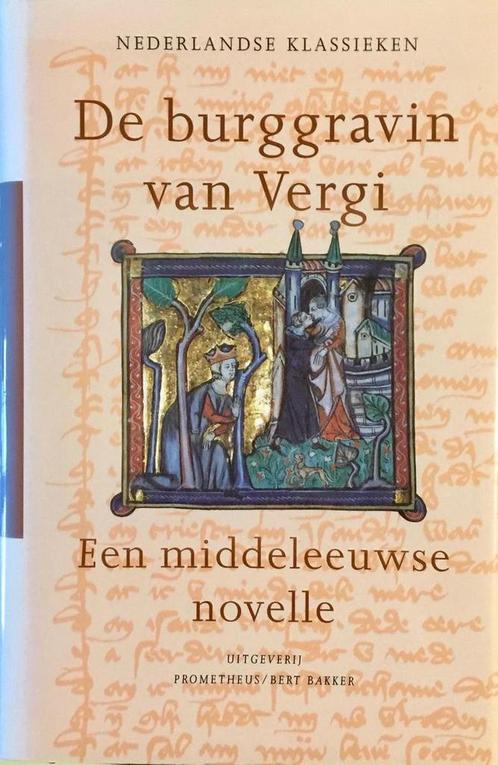 De burggravin van Vergi / Klassieken van de Nederlandse, Boeken, Romans, Zo goed als nieuw, Verzenden