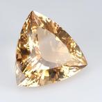 Beril - 47.25 ct - International Gemological Institute (IGI), Nieuw