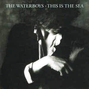 cd - The Waterboys - This Is The Sea, Cd's en Dvd's, Cd's | Overige Cd's, Zo goed als nieuw, Verzenden
