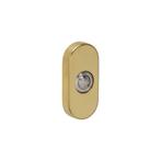 Intersteel deurbel ovaal 65x30x10mm verdekt - PVD, Verzenden, Nieuw