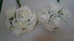 foam roos Emilia Creme 6 cm. bundel 7 new Creme, Huis en Inrichting, Ophalen of Verzenden, Nieuw