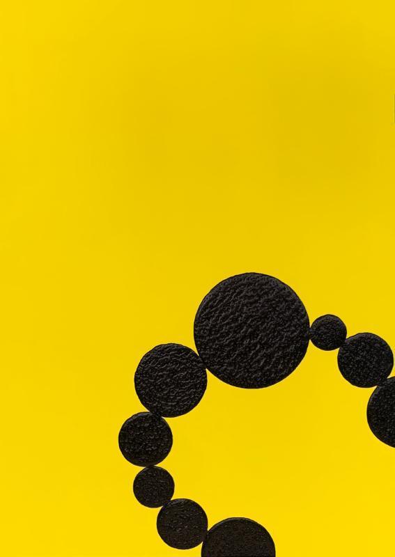 Diamonds Are Not For Everyone. Kees De Goede | 9789493329133, Boeken, Kunst en Cultuur | Beeldend, Nieuw, Ophalen of Verzenden