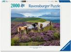 Wild Horses in the Heather Puzzel (2000 stukjes) |, Hobby en Vrije tijd, Denksport en Puzzels, Verzenden, Nieuw