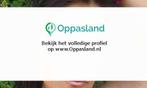 Maria zoekt een oppas in Amsterdam voor 1 kind op vrijdag..., Vacatures, Vacatures | Schoonmaak en Facilitaire diensten