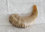 Shofar (Kosher) voornamelijk licht gekleurd., Verzenden, Nieuw