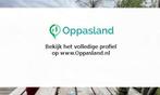 Ilse zoekt een oppas in Silvolde.