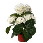 Kunst hortensia plant wit 36 cm - Kunst hortensia, Verzenden
