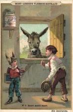 LIEBIG chromos - complete serie S 216 - Nederland -, Verzamelen, Gelopen