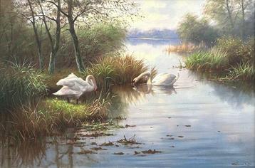 Ronald Meilof (1953-2016) - A Pair of Swans on a River beschikbaar voor biedingen