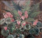 Eugenio Spreafico (1856-1919), Toegeschreven aan - Ciclamini