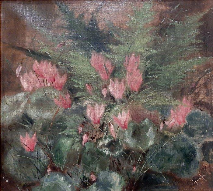 Eugenio Spreafico (1856-1919), Toegeschreven aan - Ciclamini, Antiek en Kunst, Kunst | Schilderijen | Klassiek