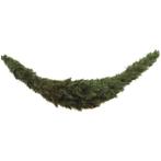 Forest Frosted Guirlande Swag - L180 cm - Groen, Diversen, Kerst, Verzenden, Nieuw