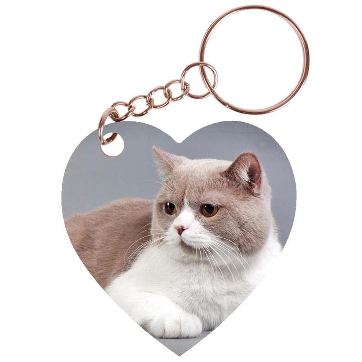 Sleutelhanger hartje 5x5cm - Britse Korthaar Beige/Wit Ligge, Verzamelen, Sleutelhangers, Nieuw, Ophalen of Verzenden