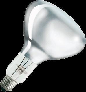 Philips Infraroodlamp met reflector - 57522725, Tuin en Terras, Buitenverlichting, Overige typen, Nieuw, Verzenden