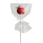 HoM Cakepops / Lollipop zakjes 10x15cm 50st., Hobby en Vrije tijd, Taarten en Cupcakes maken, Nieuw, Verzenden
