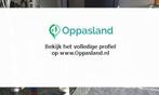 Ik ben hans en ik zoek oppaswerk in Honselersdijk., Diensten en Vakmensen, Dieren | Overige | Verzorging, Oppas en Les