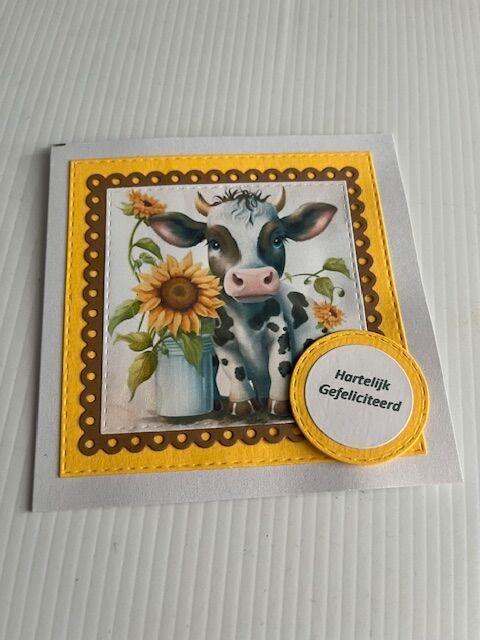 Handgemaakte kaarten en kleine kadootjes Fracor Creaties, Hobby en Vrije tijd, Kaarten | Zelfgemaakt, Nieuw, Overige thema's, Verzenden