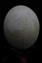 carved Ostrich Egg decorated with buffalo Taxidermie, Antiek en Kunst