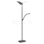 Hell Andy Vloerlamp LED 2-lichts, brons mat (Staande lampen), Huis en Inrichting, Lampen | Vloerlampen, Verzenden, Nieuw