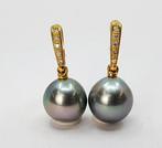 Oorbellen - 14 karaat Geel goud - 0.08ct. tw. - 9x10mm, Nieuw
