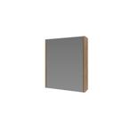 Spiegelkast BWS Salt 1 Deur 60x50 cm Incl. Planchetten, Ophalen of Verzenden, Nieuw, Bad