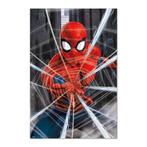 Poster Marvel Spider-Man Gotcha 61x91,5cm, Verzenden, Nieuw, A1 t/m A3