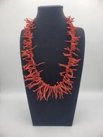 Bloedkoraal Koraal - Corallo Mediterraneo (Zonder, Antiek en Kunst, Curiosa en Brocante