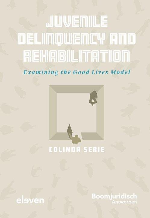 9789462364257 Juvenile Delinquency and Rehabilitation, Boeken, Studieboeken en Cursussen, Nieuw, Verzenden