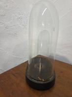 Globe - stolp - antiek - 1901-1920 - Antieke ovale stolp op