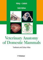 9783794528332 Veterinary Anatomy of Domestic Mammals, Nieuw, Horst Erich Koenig, Verzenden