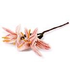Bloem/Tak Wolvilt - Lelie Wit/Roze - Handmade-Fairtrade - Ho, Ophalen of Verzenden, Nieuw