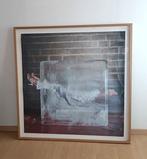 Pierre Gayte - Bison Blanc