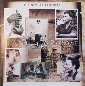 cd - The Neville Brothers - Family Groove, Cd's en Dvd's, Cd's | Overige Cd's, Zo goed als nieuw, Verzenden