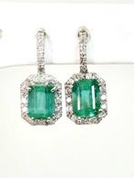 Oorbellen - 18 karaat Witgoud Smaragd - Diamant, Nieuw