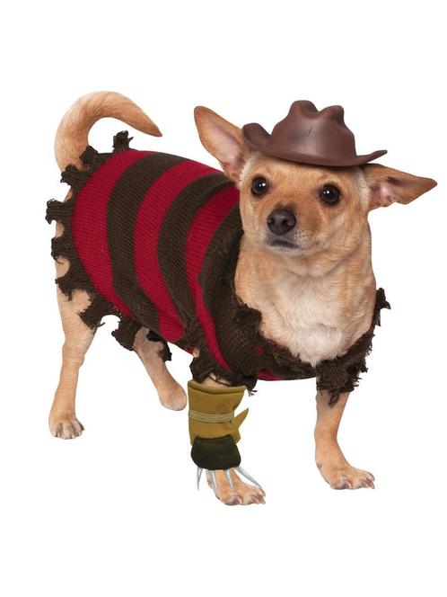 Halloween Honden Kostuum Freddy Krueger, Kinderen en Baby's, Carnavalskleding en Verkleedspullen, Nieuw, Verzenden
