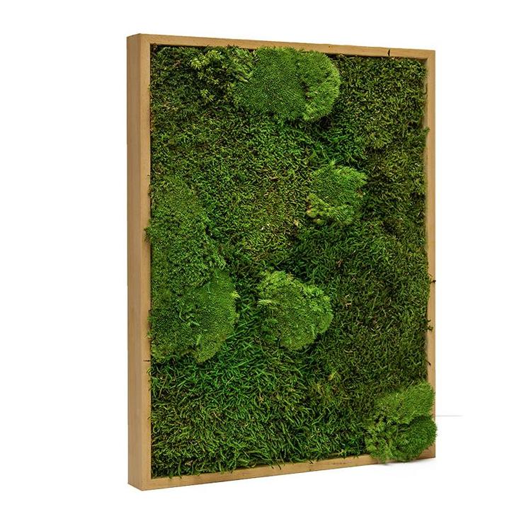 Vintlux Mosschilderij Lappenmos-Bolmos Eikenhout - Boras, Huis en Inrichting, Woonaccessoires | Wanddecoraties
