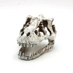 Prehistorische schedel 7cm / Aquariumdecoratie  As-281, Dieren en Toebehoren, Vissen | Aquaria en Toebehoren, Verzenden, Nieuw