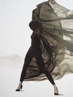 Herb Ritts (1952-2002) - Versace Veiled Dress. El Mirage.
