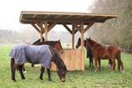 Paarden rusthuis / paardenrusthuis, oude dag / pensioen, Dieren en Toebehoren, Stalling en Weidegang, Stalling, 4 paarden of pony's of meer