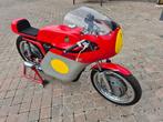 MV Agusta - Classic Racer - 250 cc - 1970, Motoren