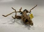 Spiderwood Selected SW98 - 35x22x13cm (Spider wood), Dieren en Toebehoren, Ophalen of Verzenden, Nieuw, Plant(en), Steen of Hout