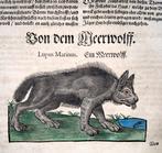 Conrad Gesner [1516-1565] - Mythological Wolves, Wolverine,