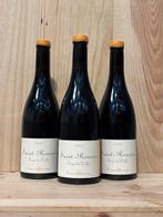 2023 Domaine de Chassorney - Sous la Velle - Saint-Romain, Nieuw