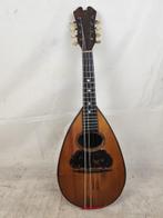 Giuseppe vinaccia 1880 - Napoletano - - Mandoline - Italië -, Nieuw