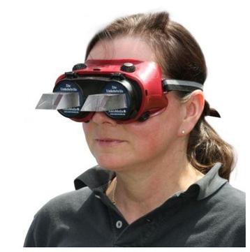 De omkeerbril - The reversing goggles beschikbaar voor biedingen