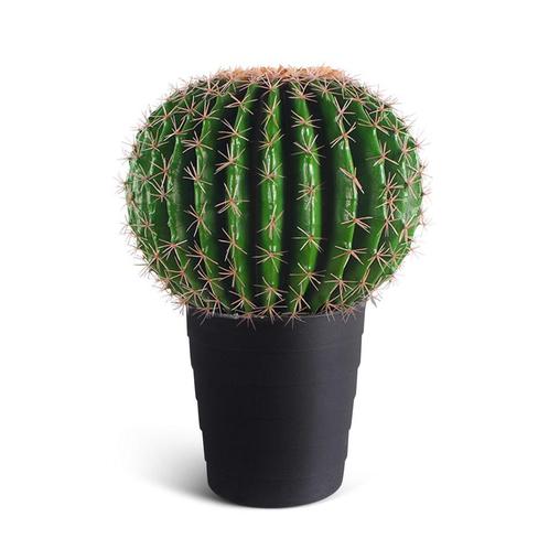 IvoQ Kunst Cactus 50 cm - Realistische Nep Cactus - Onderhou, Huis en Inrichting, Woonaccessoires | Kunstplanten en Kunstbloemen