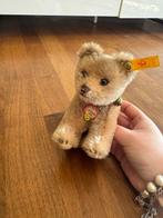 Steiff - Speelgoed Steiff Jungbär 1950 Selten Unbespielt -, Antiek en Kunst, Antiek | Speelgoed