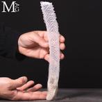 Fascinerende Abyssale Wezens Silezige spons Taxidermie, Nieuw